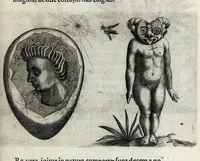 Picture 26 of 26 from De monstrorum caussis, natura, et differentiis libri duo : in quibus ex rei natura monstrorum historiae, caussae, generationes, & differentiae plurimae a sapientibus intactae : cum generatim & in plantarum, & belluarum genere, tum seorsum in humana specie tractantur : multis illustrium autorum locis difficillimis explanatis de masculo parturiente, de feminis in viros mutatis, de hermaphroditorum natura, de dissimilium specierum : venere prolifica, de castratorum fecunditate, depuero lapidescente, de anomantis aurea parte, alijsque admirabilibus (1634), leaf 301