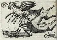An illustration from De monstrorum caussis, natura, et differentiis libri duo : in quibus ex rei natura monstrorum historiae, caussae, generationes, & differentiae plurimae a sapientibus intactae : cum generatim & in plantarum, & belluarum genere, tum seorsum in humana specie tractantur : multis illustrium autorum locis difficillimis explanatis de masculo parturiente, de feminis in viros mutatis, de hermaphroditorum natura, de dissimilium specierum : venere prolifica, de castratorum fecunditate, depuero lapidescente, de anomantis aurea parte, alijsque admirabilibus (1634)