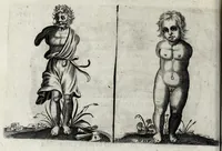 Picture 6 of 26 from De monstrorum caussis, natura, et differentiis libri duo : in quibus ex rei natura monstrorum historiae, caussae, generationes, & differentiae plurimae a sapientibus intactae : cum generatim & in plantarum, & belluarum genere, tum seorsum in humana specie tractantur : multis illustrium autorum locis difficillimis explanatis de masculo parturiente, de feminis in viros mutatis, de hermaphroditorum natura, de dissimilium specierum : venere prolifica, de castratorum fecunditate, depuero lapidescente, de anomantis aurea parte, alijsque admirabilibus (1634), leaf 86