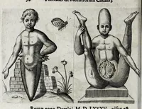 Picture 7 of 26 from De monstrorum caussis, natura, et differentiis libri duo : in quibus ex rei natura monstrorum historiae, caussae, generationes, & differentiae plurimae a sapientibus intactae : cum generatim & in plantarum, & belluarum genere, tum seorsum in humana specie tractantur : multis illustrium autorum locis difficillimis explanatis de masculo parturiente, de feminis in viros mutatis, de hermaphroditorum natura, de dissimilium specierum : venere prolifica, de castratorum fecunditate, depuero lapidescente, de anomantis aurea parte, alijsque admirabilibus (1634), leaf 88