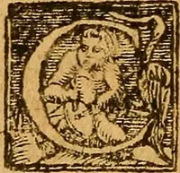 An illustration from De morbis & affectis mulierum (1619)