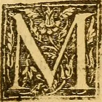 An illustration from De morbis & affectis mulierum (1619)