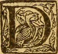 An illustration from De morbis & affectis mulierum (1619)