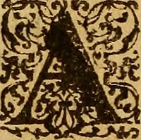 An illustration from De morbis & affectis mulierum (1619)