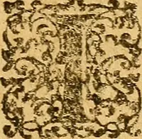 An illustration from De morbis & affectis mulierum (1619)