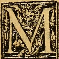 An illustration from De morbis & affectis mulierum (1619)
