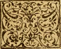 An illustration from De morbis & affectis mulierum (1619)