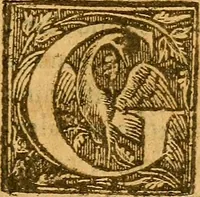 An illustration from De morbis & affectis mulierum (1619)