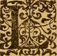 An illustration from De morbis & affectis mulierum (1619)