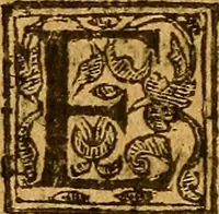 An illustration from De morbis & affectis mulierum (1619)