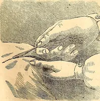 An illustration from Demorest's illustrated monthly and Mme Demorest's mirror of fashions, 1865 April (1865)