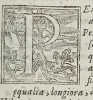 An illustration from De motv natvrali; gravivm solidorvm et liqvidorvm (1646)