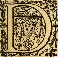An illustration from De natura foetus disputatio (1615)