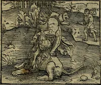 An illustration from Den Bibel, met grooter neersticheyt gecorrigeert : eñ op die canten gheset den ouderdom der werelt : ende hoe lange die gheschiedenissen ende historien der Bibelen elck int zijn voor Christus gheboorte gheweest zijn : ende daer bi vergadert wt fasciculus temporum, ende wt dye cronike va alder werelt, die principael historie der machtiger heydenscher conincrijcke, daer die heylige scrift oock dickwils af vermaent, tot een claerder verstant der Bibelscher historien : ende oock een onderscheyt der tijden te hebben (1535)