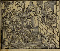 Picture 67 of 167 from Den Bibel, met grooter neersticheyt gecorrigeert : eñ op die canten gheset den ouderdom der werelt : ende hoe lange die gheschiedenissen ende historien der Bibelen elck int zijn voor Christus gheboorte gheweest zijn : ende daer bi vergadert wt fasciculus temporum, ende wt dye cronike va alder werelt, die principael historie der machtiger heydenscher conincrijcke, daer die heylige scrift oock dickwils af vermaent, tot een claerder verstant der Bibelscher historien : ende oock een onderscheyt der tijden te hebben (1535), leaf 212