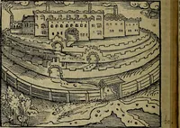 Picture 72 of 167 from Den Bibel, met grooter neersticheyt gecorrigeert : eñ op die canten gheset den ouderdom der werelt : ende hoe lange die gheschiedenissen ende historien der Bibelen elck int zijn voor Christus gheboorte gheweest zijn : ende daer bi vergadert wt fasciculus temporum, ende wt dye cronike va alder werelt, die principael historie der machtiger heydenscher conincrijcke, daer die heylige scrift oock dickwils af vermaent, tot een claerder verstant der Bibelscher historien : ende oock een onderscheyt der tijden te hebben (1535), leaf 231