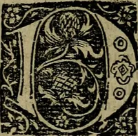 Picture 76 of 167 from Den Bibel, met grooter neersticheyt gecorrigeert : eñ op die canten gheset den ouderdom der werelt : ende hoe lange die gheschiedenissen ende historien der Bibelen elck int zijn voor Christus gheboorte gheweest zijn : ende daer bi vergadert wt fasciculus temporum, ende wt dye cronike va alder werelt, die principael historie der machtiger heydenscher conincrijcke, daer die heylige scrift oock dickwils af vermaent, tot een claerder verstant der Bibelscher historien : ende oock een onderscheyt der tijden te hebben (1535), leaf 247