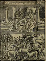 Picture 17 of 167 from Den Bibel, met grooter neersticheyt gecorrigeert : eñ op die canten gheset den ouderdom der werelt : ende hoe lange die gheschiedenissen ende historien der Bibelen elck int zijn voor Christus gheboorte gheweest zijn : ende daer bi vergadert wt fasciculus temporum, ende wt dye cronike va alder werelt, die principael historie der machtiger heydenscher conincrijcke, daer die heylige scrift oock dickwils af vermaent, tot een claerder verstant der Bibelscher historien : ende oock een onderscheyt der tijden te hebben (1535), leaf 33