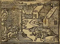Picture 26 of 167 from Den Bibel, met grooter neersticheyt gecorrigeert : eñ op die canten gheset den ouderdom der werelt : ende hoe lange die gheschiedenissen ende historien der Bibelen elck int zijn voor Christus gheboorte gheweest zijn : ende daer bi vergadert wt fasciculus temporum, ende wt dye cronike va alder werelt, die principael historie der machtiger heydenscher conincrijcke, daer die heylige scrift oock dickwils af vermaent, tot een claerder verstant der Bibelscher historien : ende oock een onderscheyt der tijden te hebben (1535), leaf 50