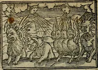 Picture 102 of 167 from Den Bibel, met grooter neersticheyt gecorrigeert : eñ op die canten gheset den ouderdom der werelt : ende hoe lange die gheschiedenissen ende historien der Bibelen elck int zijn voor Christus gheboorte gheweest zijn : ende daer bi vergadert wt fasciculus temporum, ende wt dye cronike va alder werelt, die principael historie der machtiger heydenscher conincrijcke, daer die heylige scrift oock dickwils af vermaent, tot een claerder verstant der Bibelscher historien : ende oock een onderscheyt der tijden te hebben (1535), leaf 545