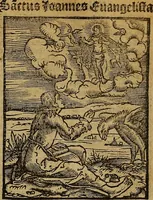 Picture 123 of 167 from Den Bibel, met grooter neersticheyt gecorrigeert : eñ op die canten gheset den ouderdom der werelt : ende hoe lange die gheschiedenissen ende historien der Bibelen elck int zijn voor Christus gheboorte gheweest zijn : ende daer bi vergadert wt fasciculus temporum, ende wt dye cronike va alder werelt, die principael historie der machtiger heydenscher conincrijcke, daer die heylige scrift oock dickwils af vermaent, tot een claerder verstant der Bibelscher historien : ende oock een onderscheyt der tijden te hebben (1535), leaf 770