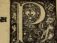 Picture 128 of 167 from Den Bibel, met grooter neersticheyt gecorrigeert : eñ op die canten gheset den ouderdom der werelt : ende hoe lange die gheschiedenissen ende historien der Bibelen elck int zijn voor Christus gheboorte gheweest zijn : ende daer bi vergadert wt fasciculus temporum, ende wt dye cronike va alder werelt, die principael historie der machtiger heydenscher conincrijcke, daer die heylige scrift oock dickwils af vermaent, tot een claerder verstant der Bibelscher historien : ende oock een onderscheyt der tijden te hebben (1535), leaf 810