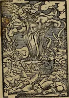 Picture 154 of 167 from Den Bibel, met grooter neersticheyt gecorrigeert : eñ op die canten gheset den ouderdom der werelt : ende hoe lange die gheschiedenissen ende historien der Bibelen elck int zijn voor Christus gheboorte gheweest zijn : ende daer bi vergadert wt fasciculus temporum, ende wt dye cronike va alder werelt, die principael historie der machtiger heydenscher conincrijcke, daer die heylige scrift oock dickwils af vermaent, tot een claerder verstant der Bibelscher historien : ende oock een onderscheyt der tijden te hebben (1535), leaf 878