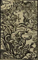 Picture 165 of 167 from Den Bibel, met grooter neersticheyt gecorrigeert : eñ op die canten gheset den ouderdom der werelt : ende hoe lange die gheschiedenissen ende historien der Bibelen elck int zijn voor Christus gheboorte gheweest zijn : ende daer bi vergadert wt fasciculus temporum, ende wt dye cronike va alder werelt, die principael historie der machtiger heydenscher conincrijcke, daer die heylige scrift oock dickwils af vermaent, tot een claerder verstant der Bibelscher historien : ende oock een onderscheyt der tijden te hebben (1535), leaf 885