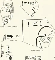 An illustration from Dendereh, 1898 (1900)