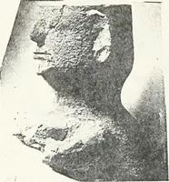 An illustration from Dendereh, 1898 (1900)