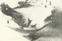 An illustration from Dendereh, 1898 (1900)