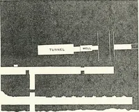 Picture 93 of 120 from Dendereh, 1898 (1900), leaf 153