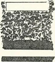 An illustration from Dendereh, 1898 (1900)