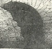 An illustration from Dendereh, 1898 (1900)