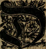 An illustration from Dend første Part af adskillige danske Emblemata : med sine hosføyede Moralia, samlede til Tiids-Fordriv for det danske Sprogs Elskere (1732)