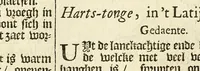An illustration from De Nederlandtse herbarius of Kruydt-boeck : beschryvende de geslachten, gedaente, plaetse, tijt, oeffeningh, aert, krachten, en medicinael gebruyck van alderhande boomen, heesteren, boom-gewassen, kruyden en planten, die in de Nederlanden in't wilde gevonden, ende in de hoven onderhouden worden : als mede de uytlandtsen of vreemde droogens, die gemeenlijck in de apothekers winckels gebruyckt worden : uyt verscheyde kruydt-beschrijvers tot nut van alle natuur-kunders, geneesmeesters, apothekers, chirurgijns, en liefhebbers van kruyden en plantem by een vergadert, en beschreven (1670)