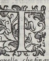 An illustration from De' negotii, et contratti de mercanti, et de negotianti, trattato vtilissimo non solamente à chi essercita la mercatura, ma ancora a confessori, predicatori, & lettori; : nel quale con risolutione molto chiara, & compendiosa si tratta di vendite, compre, cambi, vsure, & restitutione. (1591)