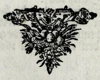 An illustration from Den Engelsen en Munstersen oorlogh t'egen de Vrye Vereenighde Nederlanden : beginnede in den jare 1664 en eyndigende met het sluyten van de vrede tot Breda, anno 1667, in 't kort beschreven : met de autenthijcke stucken en brieven van die geene, die den oorlogh en vredehandel self hebben by gewoont : nebens een inleydingh bevattende de ballinghschap en herstellingh van den tegenwoordigen Koningh van Engelandt (1668)