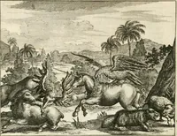 An illustration from De nieuwe en onbekende weereld, of, Beschryving van America en 't zuid-land : vervaetende d'oorsprong der Americaenen en zuid-landers, gedenkwaerdige togten derwaerds, gelegendheid der vaste kusten, eilanden, steden, sterkten, dorpen, tempels, bergen, fonteinen, stroomen, huisen, de natuur van beesten, boomen, planten en vreemde gewasschen, Gods-dienst en zeden, wonderlijke voorvallen, vereeuwde en nieuwe oorlogen: verciert met af-beeldsels na 't leven in America gemaekt, (1671)