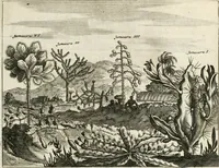Picture 49 of 130 from De nieuwe en onbekende weereld, of, Beschryving van America en 't zuid-land : vervaetende d'oorsprong der Americaenen en zuid-landers, gedenkwaerdige togten derwaerds, gelegendheid der vaste kusten, eilanden, steden, sterkten, dorpen, tempels, bergen, fonteinen, stroomen, huisen, de natuur van beesten, boomen, planten en vreemde gewasschen, Gods-dienst en zeden, wonderlijke voorvallen, vereeuwde en nieuwe oorlogen: verciert met af-beeldsels na 't leven in America gemaekt, (1671), leaf 206