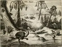 Picture 55 of 130 from De nieuwe en onbekende weereld, of, Beschryving van America en 't zuid-land : vervaetende d'oorsprong der Americaenen en zuid-landers, gedenkwaerdige togten derwaerds, gelegendheid der vaste kusten, eilanden, steden, sterkten, dorpen, tempels, bergen, fonteinen, stroomen, huisen, de natuur van beesten, boomen, planten en vreemde gewasschen, Gods-dienst en zeden, wonderlijke voorvallen, vereeuwde en nieuwe oorlogen: verciert met af-beeldsels na 't leven in America gemaekt, (1671), leaf 236