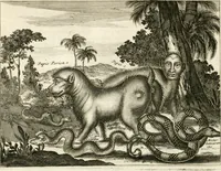 Picture 74 of 130 from De nieuwe en onbekende weereld, of, Beschryving van America en 't zuid-land : vervaetende d'oorsprong der Americaenen en zuid-landers, gedenkwaerdige togten derwaerds, gelegendheid der vaste kusten, eilanden, steden, sterkten, dorpen, tempels, bergen, fonteinen, stroomen, huisen, de natuur van beesten, boomen, planten en vreemde gewasschen, Gods-dienst en zeden, wonderlijke voorvallen, vereeuwde en nieuwe oorlogen: verciert met af-beeldsels na 't leven in America gemaekt, (1671), leaf 333