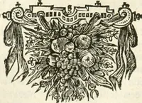 Picture 76 of 130 from De nieuwe en onbekende weereld, of, Beschryving van America en 't zuid-land : vervaetende d'oorsprong der Americaenen en zuid-landers, gedenkwaerdige togten derwaerds, gelegendheid der vaste kusten, eilanden, steden, sterkten, dorpen, tempels, bergen, fonteinen, stroomen, huisen, de natuur van beesten, boomen, planten en vreemde gewasschen, Gods-dienst en zeden, wonderlijke voorvallen, vereeuwde en nieuwe oorlogen: verciert met af-beeldsels na 't leven in America gemaekt, (1671), leaf 345