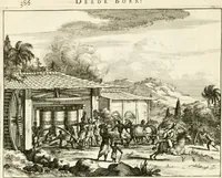 Picture 100 of 130 from De nieuwe en onbekende weereld, of, Beschryving van America en 't zuid-land : vervaetende d'oorsprong der Americaenen en zuid-landers, gedenkwaerdige togten derwaerds, gelegendheid der vaste kusten, eilanden, steden, sterkten, dorpen, tempels, bergen, fonteinen, stroomen, huisen, de natuur van beesten, boomen, planten en vreemde gewasschen, Gods-dienst en zeden, wonderlijke voorvallen, vereeuwde en nieuwe oorlogen: verciert met af-beeldsels na 't leven in America gemaekt, (1671), leaf 469