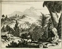 An illustration from De nieuwe en onbekende weereld, of, Beschryving van America en 't zuid-land : vervaetende d'oorsprong der Americaenen en zuid-landers, gedenkwaerdige togten derwaerds, gelegendheid der vaste kusten, eilanden, steden, sterkten, dorpen, tempels, bergen, fonteinen, stroomen, huisen, de natuur van beesten, boomen, planten en vreemde gewasschen, Gods-dienst en zeden, wonderlijke voorvallen, vereeuwde en nieuwe oorlogen: verciert met af-beeldsels na 't leven in America gemaekt, (1671)