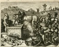 Picture 20 of 130 from De nieuwe en onbekende weereld, of, Beschryving van America en 't zuid-land : vervaetende d'oorsprong der Americaenen en zuid-landers, gedenkwaerdige togten derwaerds, gelegendheid der vaste kusten, eilanden, steden, sterkten, dorpen, tempels, bergen, fonteinen, stroomen, huisen, de natuur van beesten, boomen, planten en vreemde gewasschen, Gods-dienst en zeden, wonderlijke voorvallen, vereeuwde en nieuwe oorlogen: verciert met af-beeldsels na 't leven in America gemaekt, (1671), leaf 95