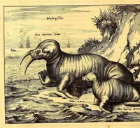 An illustration from De Nieuwe en onbekende Weereld: of Beschryving van America en 't Zuid-Land, : vervaetende d'oorsprong der Americænen en Zuid-Landers, gedenkwaerdige togten derwaerds, gelegendheid der vaste kusten, eilanden, steden, sterkten, dorpen, tempels, bergen, fonteinen, stroomen, huisen, de natuur van beesten, boomen, planten en vreemde gewasschen, gods-dienst en zeden, wonderlijke voorvallen, vereeuwde en nieuwe oorloogen: Verciert met af-beeldsels na 't leven in America gemaekt, (1671)