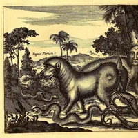 An illustration from De Nieuwe en onbekende Weereld: of Beschryving van America en 't Zuid-Land, : vervaetende d'oorsprong der Americænen en Zuid-Landers, gedenkwaerdige togten derwaerds, gelegendheid der vaste kusten, eilanden, steden, sterkten, dorpen, tempels, bergen, fonteinen, stroomen, huisen, de natuur van beesten, boomen, planten en vreemde gewasschen, gods-dienst en zeden, wonderlijke voorvallen, vereeuwde en nieuwe oorloogen: Verciert met af-beeldsels na 't leven in America gemaekt, (1671)