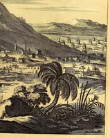An illustration from De Nieuwe en onbekende Weereld: of Beschryving van America en 't Zuid-Land, : vervaetende d'oorsprong der Americænen en Zuid-Landers, gedenkwaerdige togten derwaerds, gelegendheid der vaste kusten, eilanden, steden, sterkten, dorpen, tempels, bergen, fonteinen, stroomen, huisen, de natuur van beesten, boomen, planten en vreemde gewasschen, gods-dienst en zeden, wonderlijke voorvallen, vereeuwde en nieuwe oorloogen: Verciert met af-beeldsels na 't leven in America gemaekt, (1671)