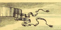 Picture 51 of 63 from De Nieuwe en onbekende Weereld: of Beschryving van America en 't Zuid-Land, : vervaetende d'oorsprong der Americænen en Zuid-Landers, gedenkwaerdige togten derwaerds, gelegendheid der vaste kusten, eilanden, steden, sterkten, dorpen, tempels, bergen, fonteinen, stroomen, huisen, de natuur van beesten, boomen, planten en vreemde gewasschen, gods-dienst en zeden, wonderlijke voorvallen, vereeuwde en nieuwe oorloogen: Verciert met af-beeldsels na 't leven in America gemaekt, (1671), leaf 631